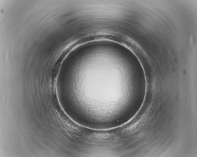 X0000060810825200511141504