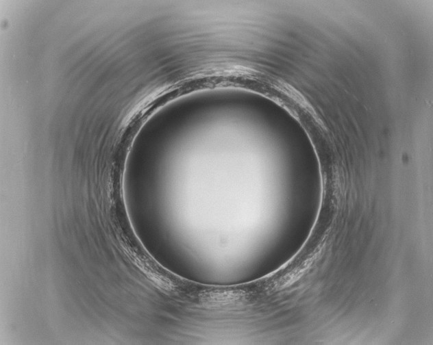 X0000060810826200511141504