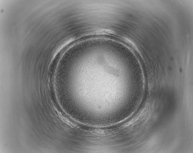 X0000060810827200511141504