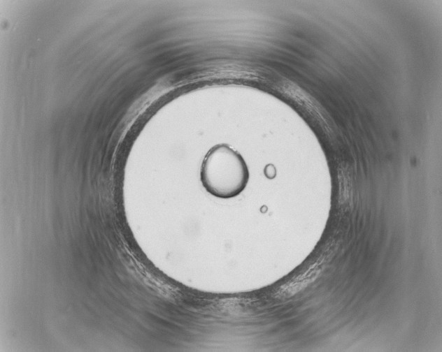 X0000060810828200511141504