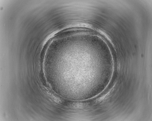 X0000060810829200511141504