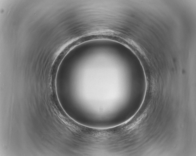 X0000060810830200511141504