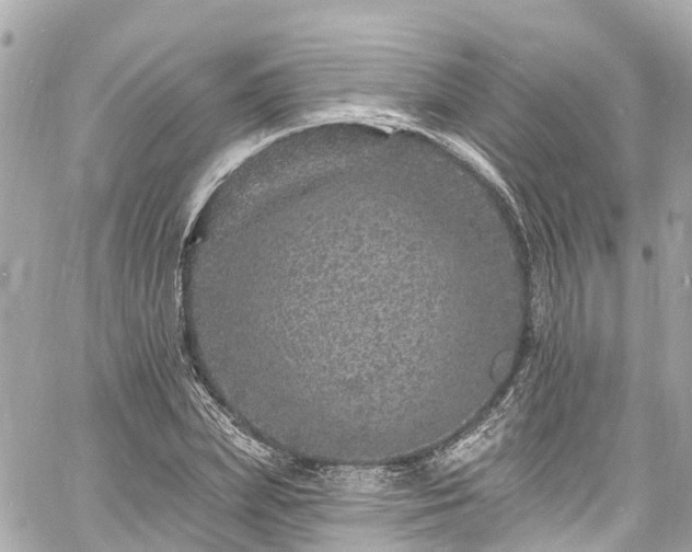 X0000060810831200511141504