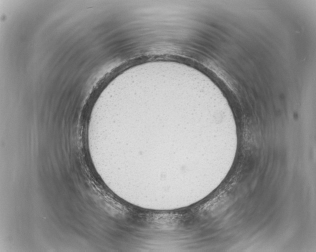 X0000060810832200511141504