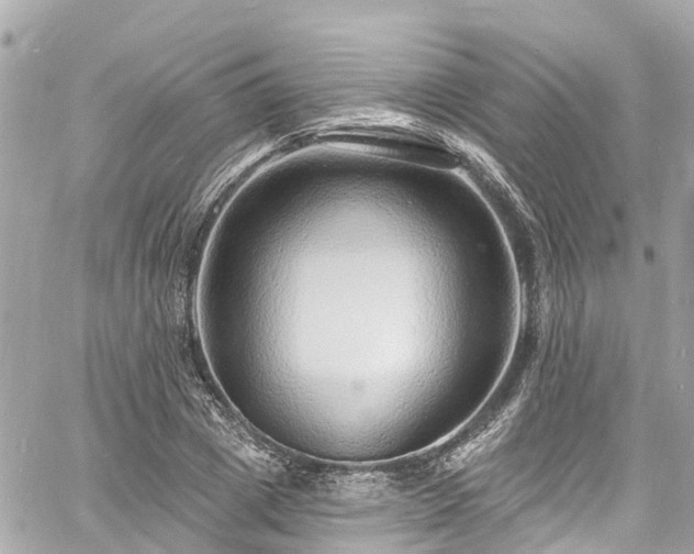 X0000060810833200511141504