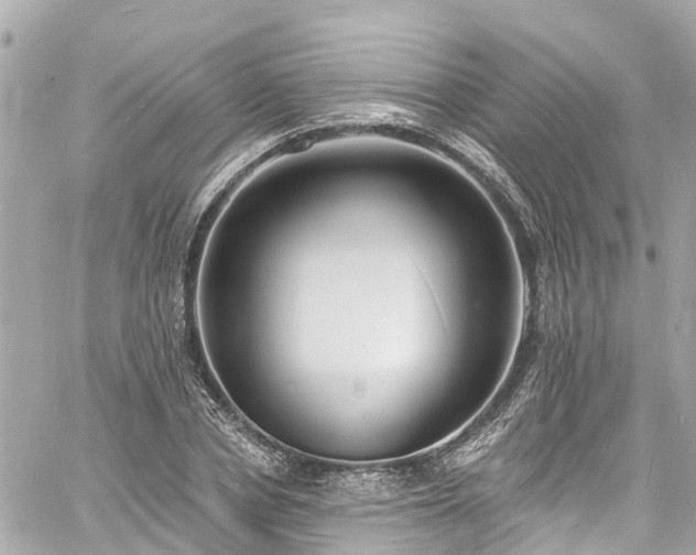 X0000060810834200511141504