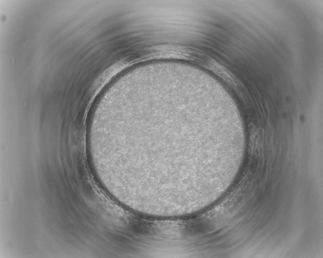 X0000060810836200511141504