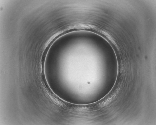 X0000060810837200511141504