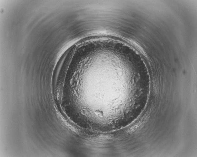 X0000060810839200511141504