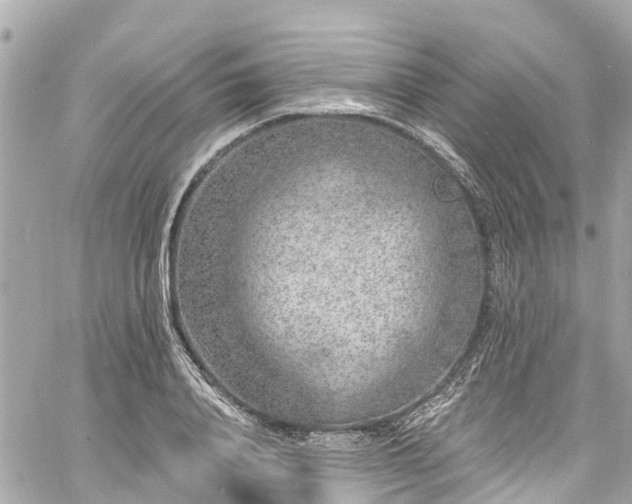 X0000060810840200511141504