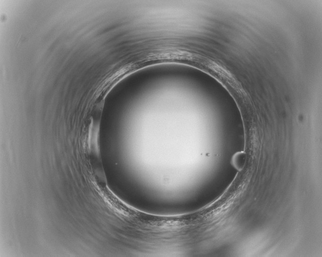 X0000060810841200511141504