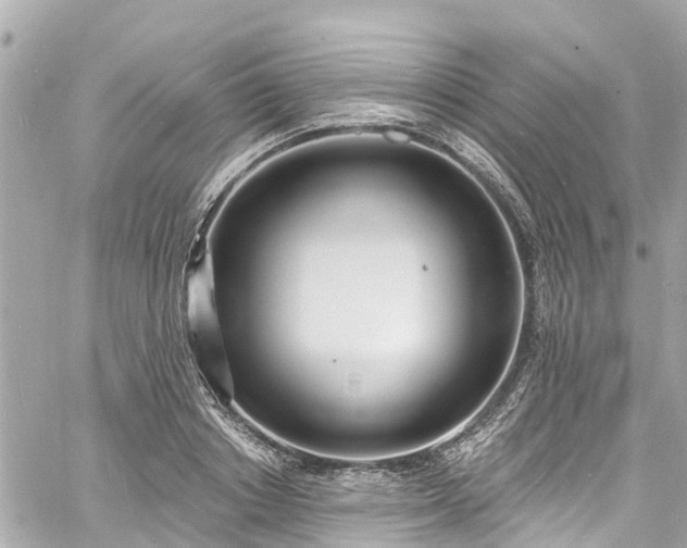 X0000060810842200511141504