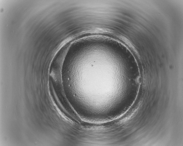 X0000060810845200511141504