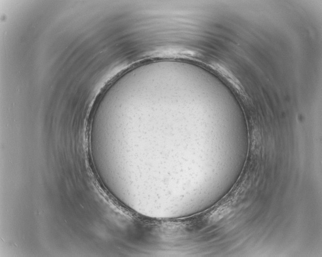 X0000060810848200511141504