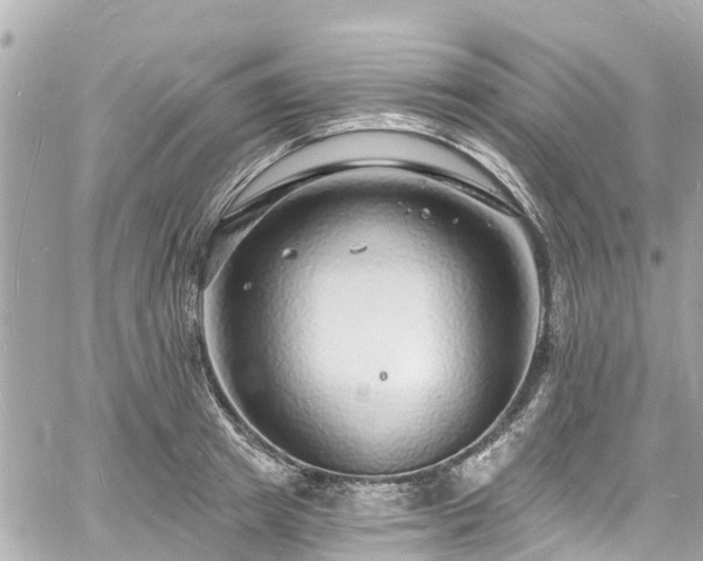 X0000060810849200511141504