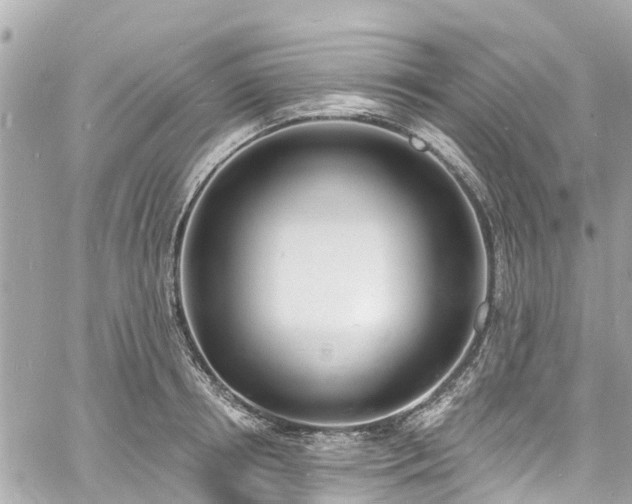 X0000060810850200511141504