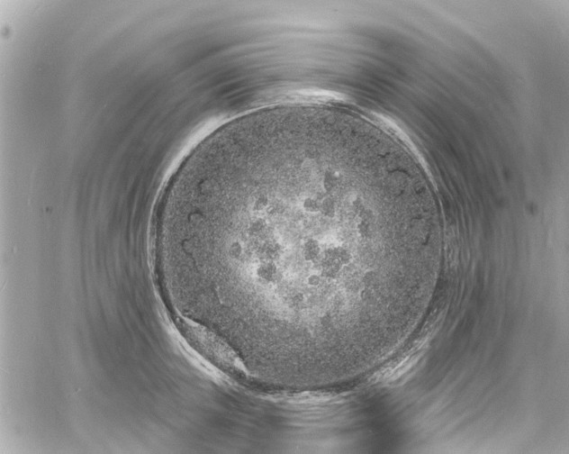 X0000060810851200511141504