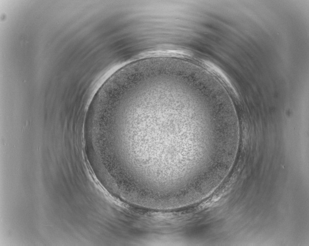 X0000060810852200511141504