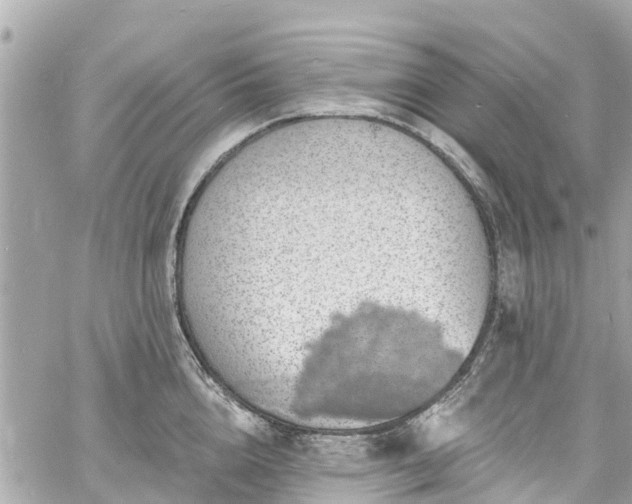 X0000060810856200511141504