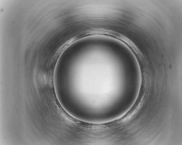 X0000060810857200511141504