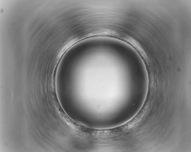 X0000060810858200511141504