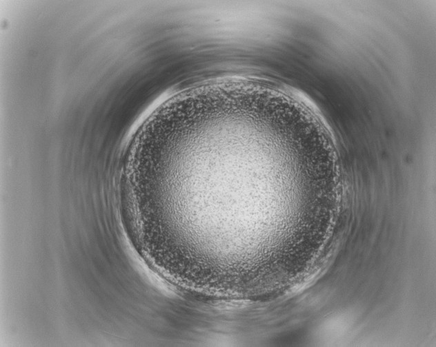 X0000060810859200511141504