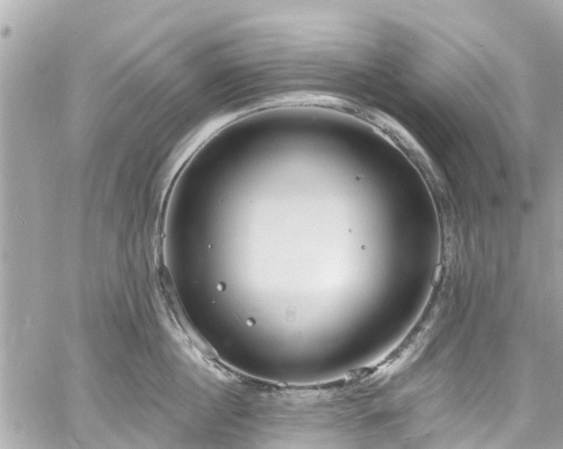 X0000060810860200511141504