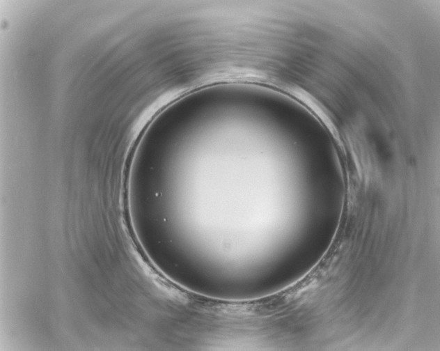 X0000060810861200511141504