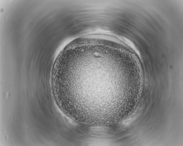 X0000060810863200511141504