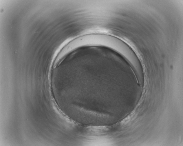 X0000060810864200511141504