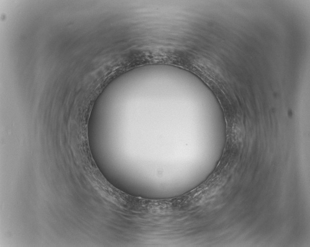 X0000060810865200511141503