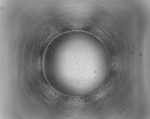 X0000060810866200511141503