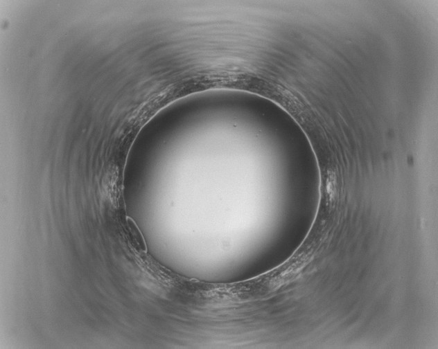 X0000060810867200511141503