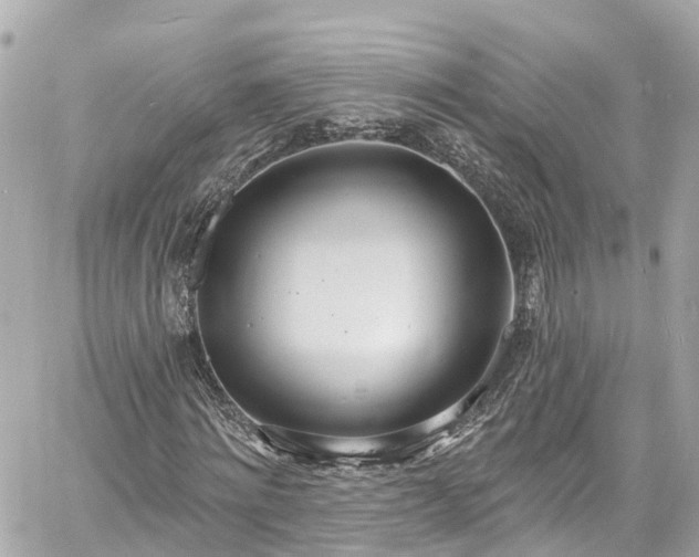 X0000060810868200511141503