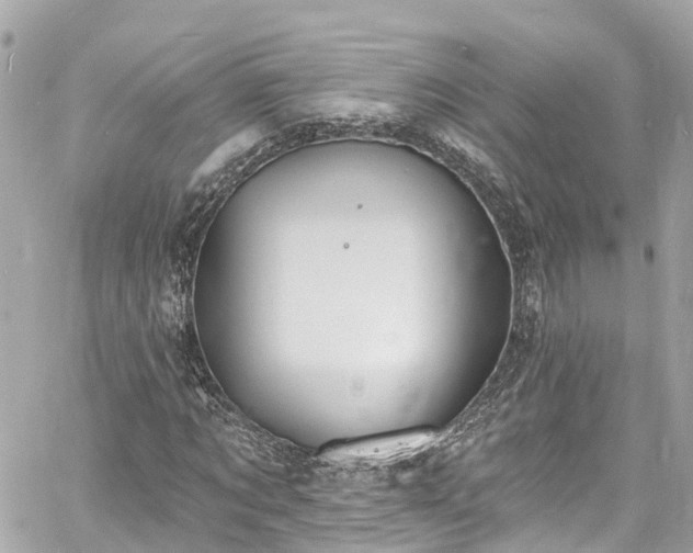 X0000060810869200511141503