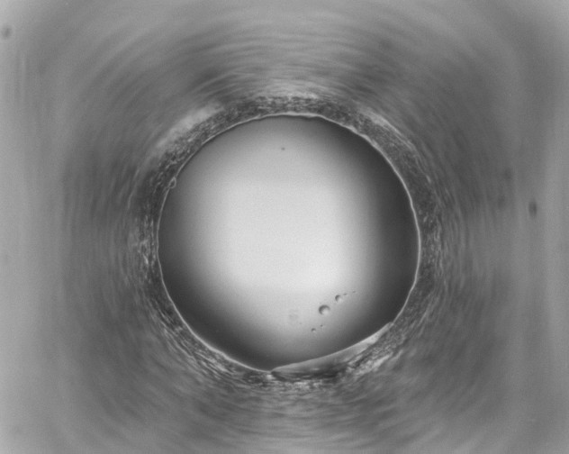 X0000060810870200511141503