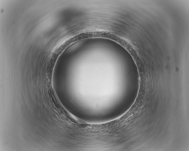 X0000060810871200511141503