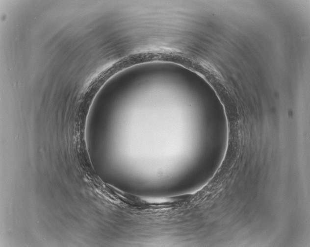 X0000060810872200511141503