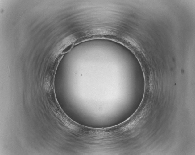 X0000060810873200511141503