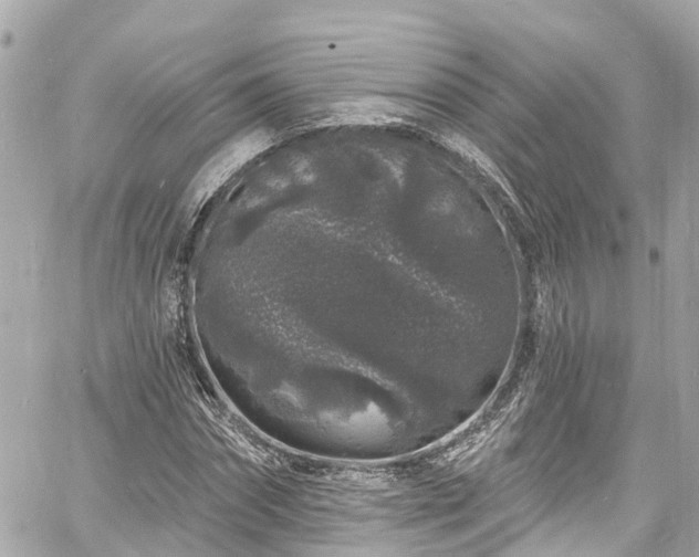 X0000060810874200511141503