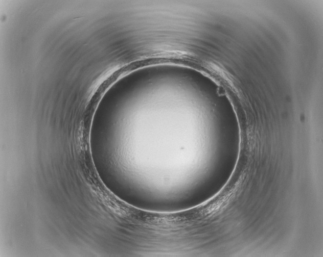 X0000060810875200511141503