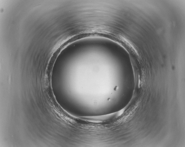 X0000060810876200511141503