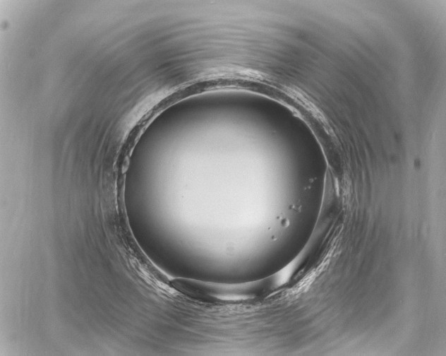 X0000060810877200511141503