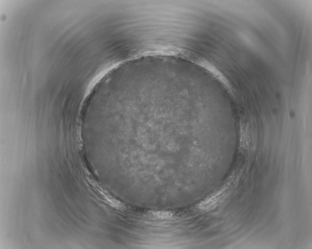 X0000060810878200511141503