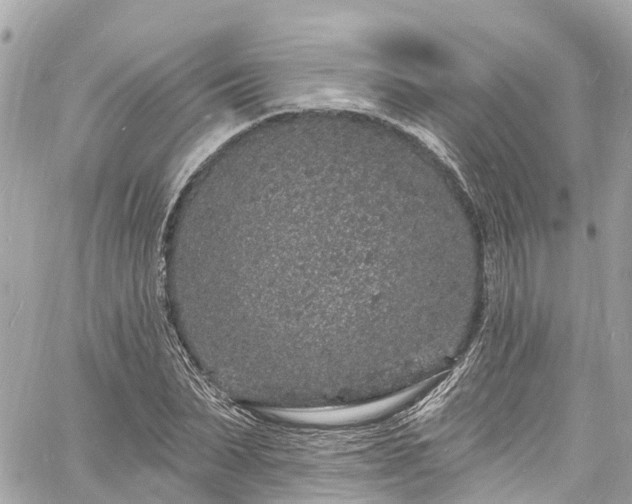 X0000060810879200511141503