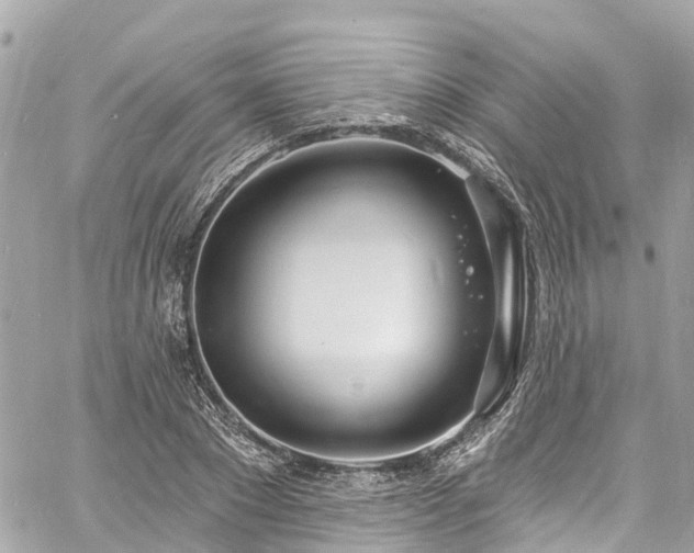 X0000060810881200511141503