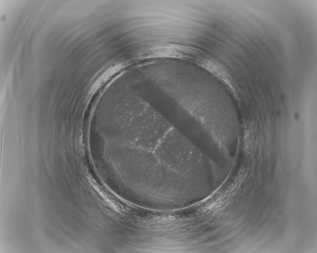 X0000060810882200511141503