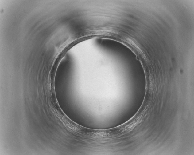 X0000060810883200511141503