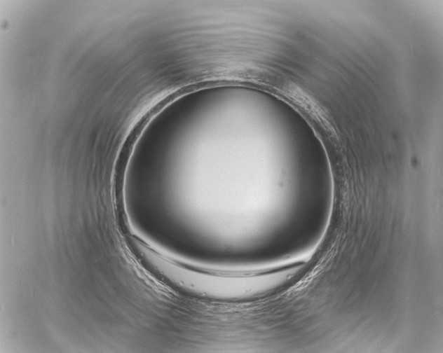 X0000060810884200511141503