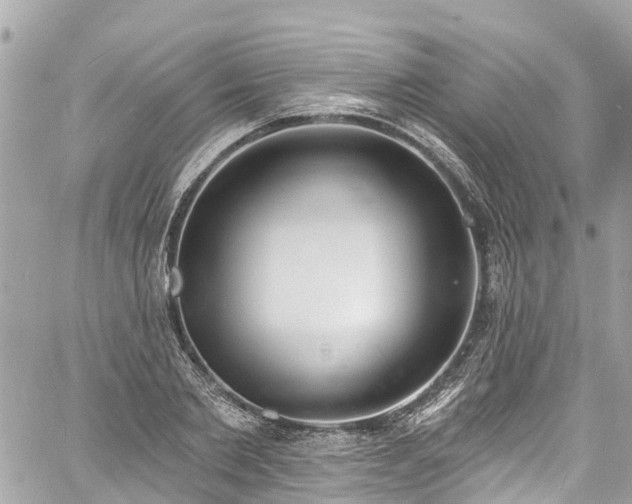 X0000060810885200511141503